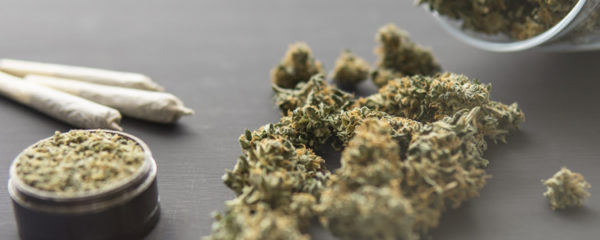 fumeurs de cannabis