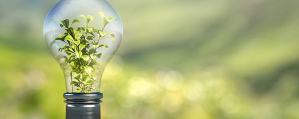 consommation d'électricité