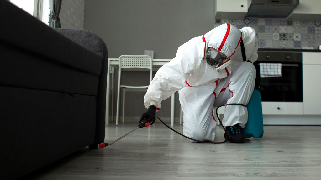 Technicien en gestion parasitaire inspectant le solage d'une maison à Mascouche